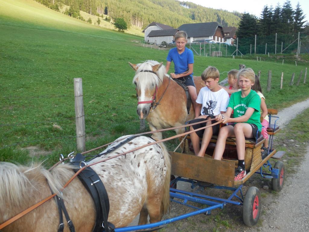 Hansalagut Mauterndorf  Esterno foto