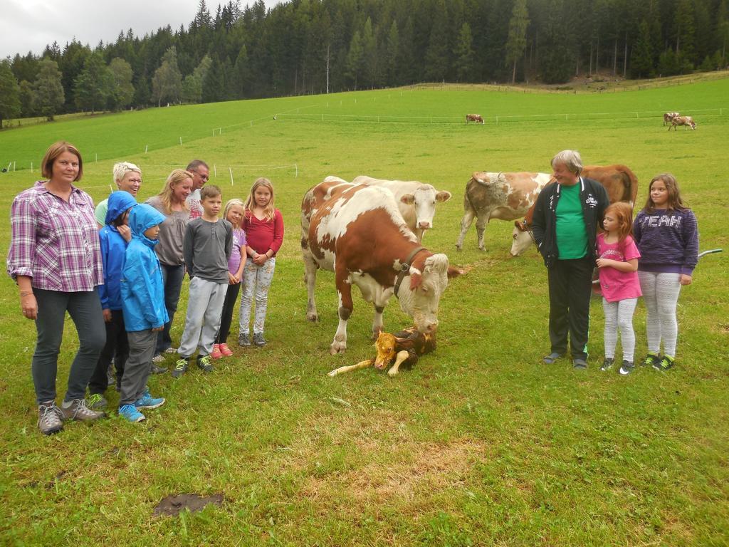 Hansalagut Mauterndorf  Esterno foto